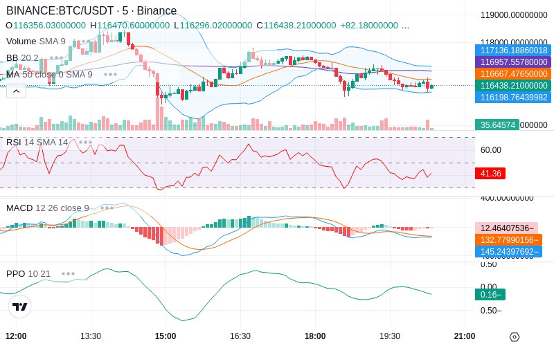 🚀 $TOMI SuperApp early access!