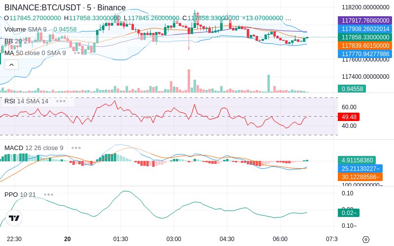 🚀 $TOMI SuperApp early access!