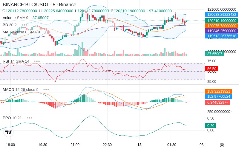🚀 $TOMI SuperApp early access!