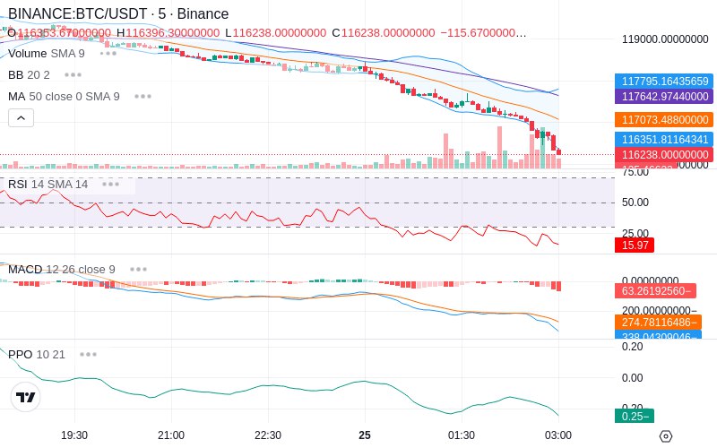 Rent this Ad Spot✨