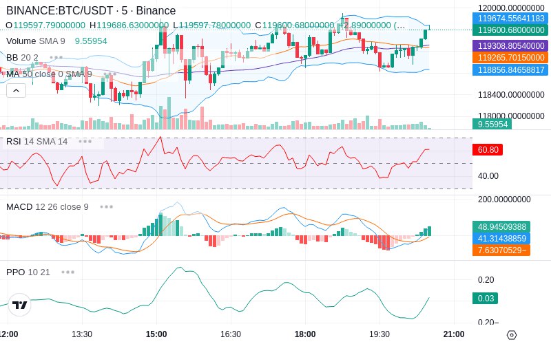 🚀 $TOMI SuperApp early access!