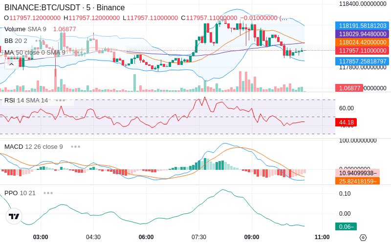 🚀 $TOMI SuperApp early access!