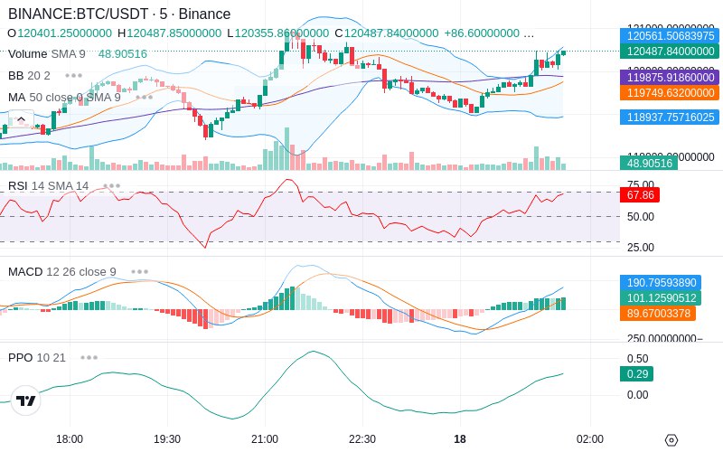 🚀 $TOMI SuperApp early access!