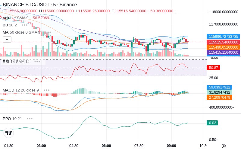 Rent this Ad Spot✨