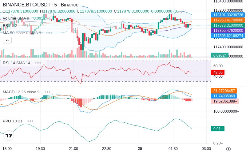 🚀 $TOMI SuperApp early access!