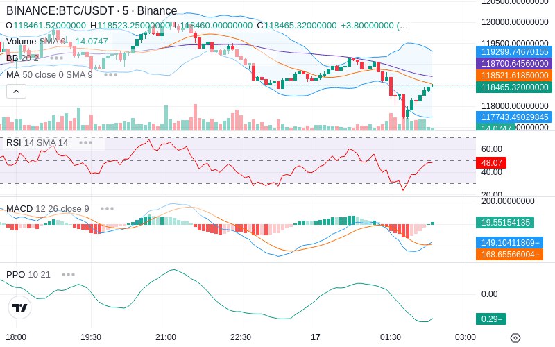 🚀 $TOMI SuperApp early access!