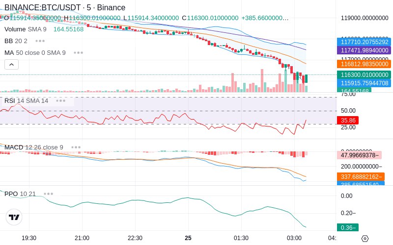 Leverage Your Profits🚀