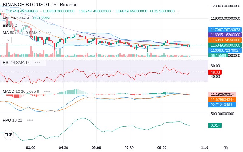 🚀 $TOMI SuperApp early access!