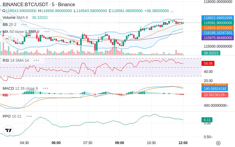 Join our News Channel🔥