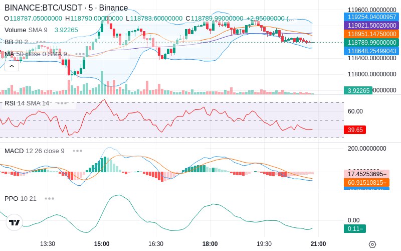 Rent this Ad Spot✨