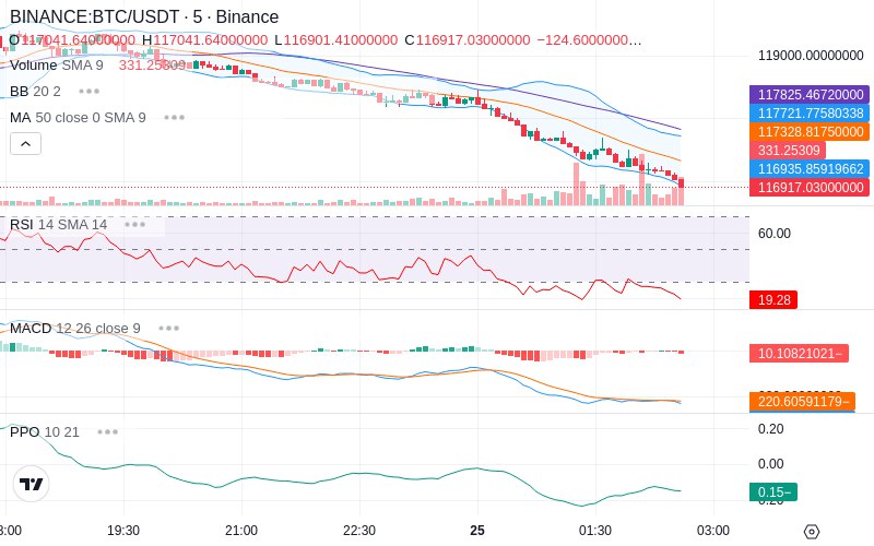 Leverage Your Profits🚀