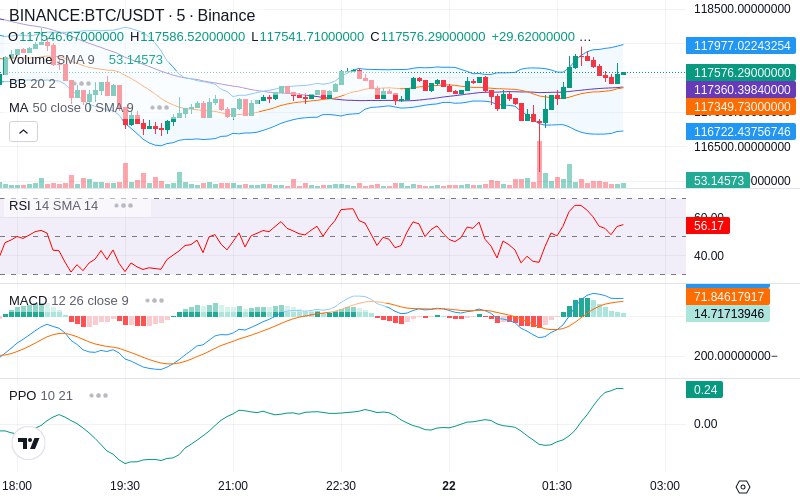 🚀 $TOMI SuperApp early access!