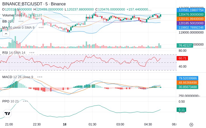 🚀 $TOMI SuperApp early access!