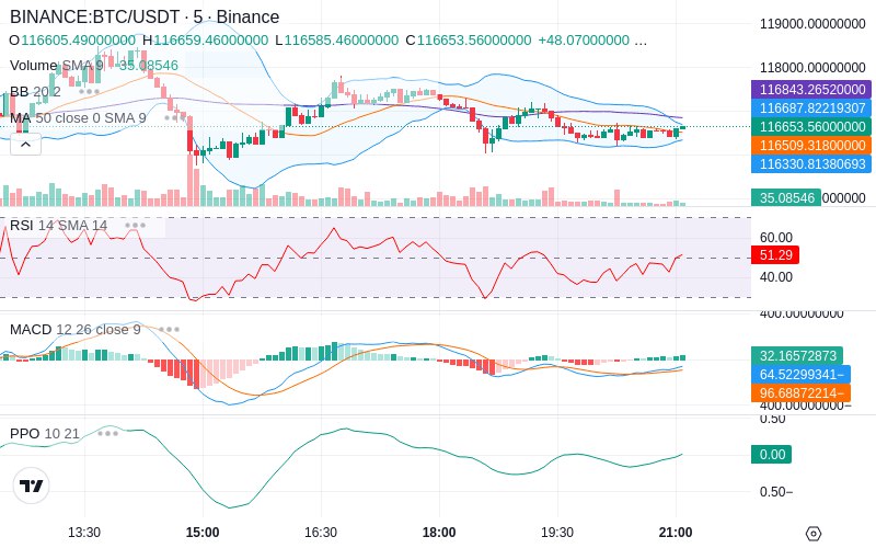🚀 $TOMI SuperApp early access!