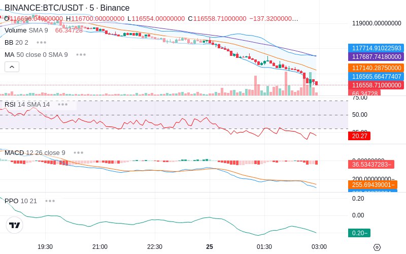 Leverage Your Profits🚀