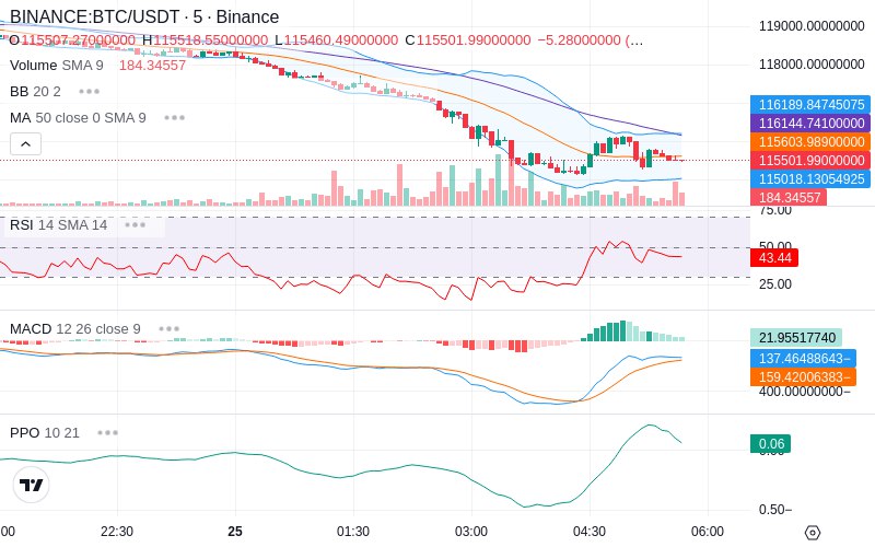 Leverage Your Profits🚀