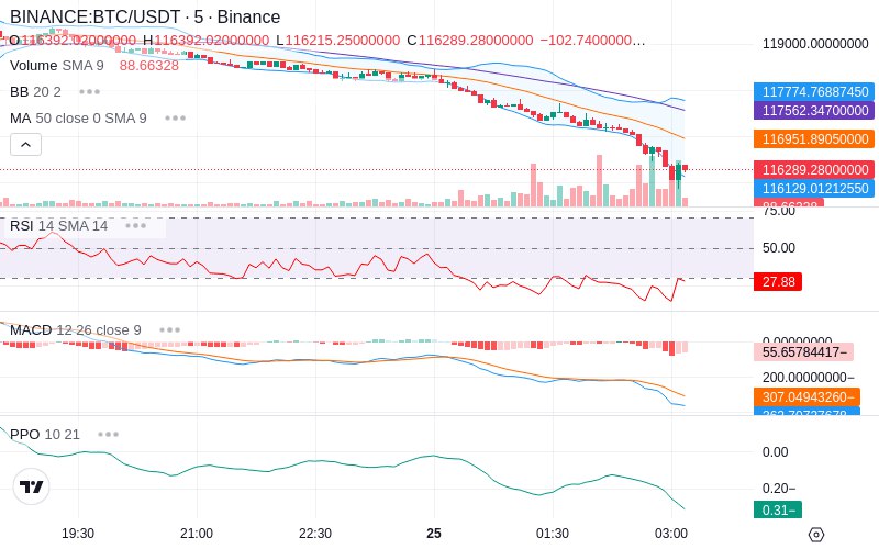 Join our News Channel🔥