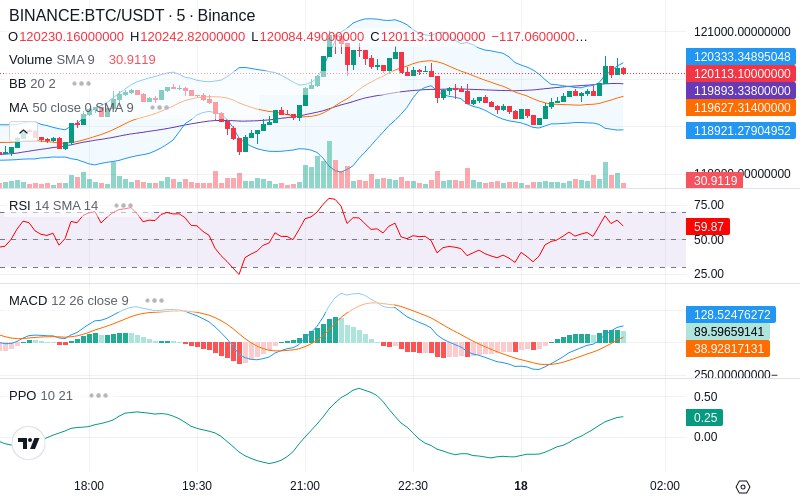🚀 $TOMI SuperApp early access!