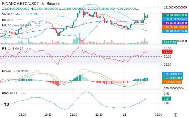 🚀 $TOMI SuperApp early access!