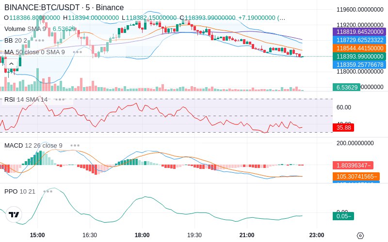 Rent this Ad Spot✨