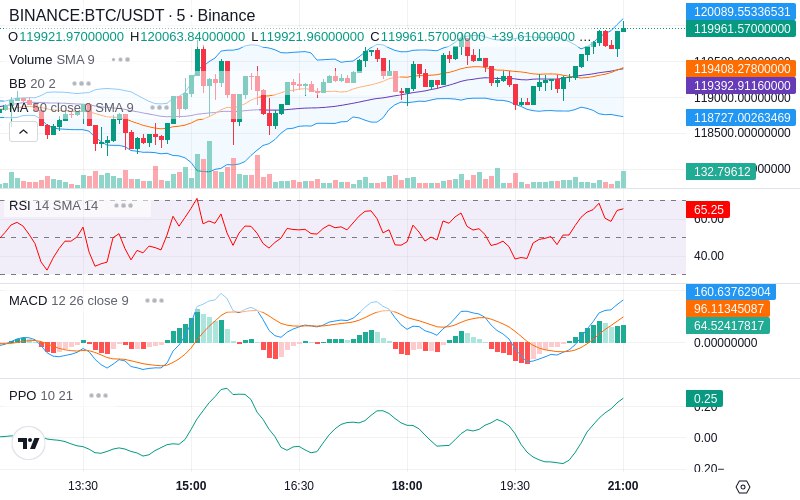 🚀 $TOMI SuperApp early access!