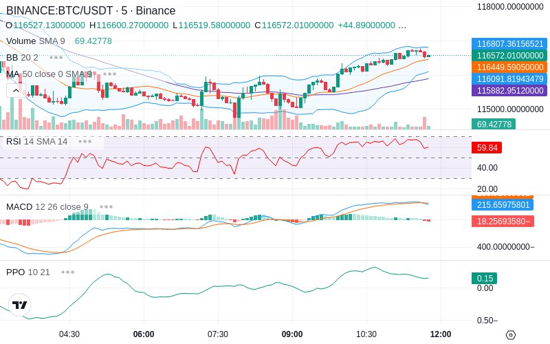 Leverage Your Profits🚀