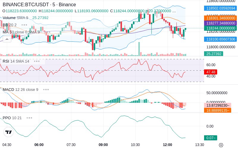 🚀 $TOMI SuperApp early access!
