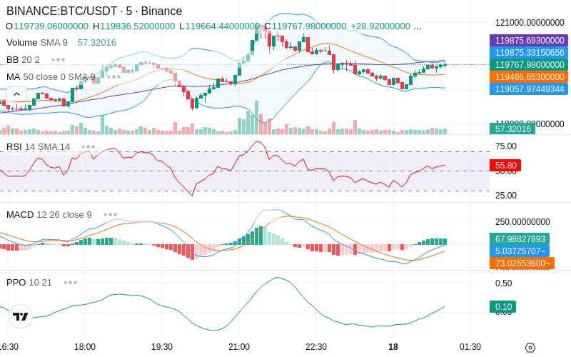 🚀 $TOMI SuperApp early access!