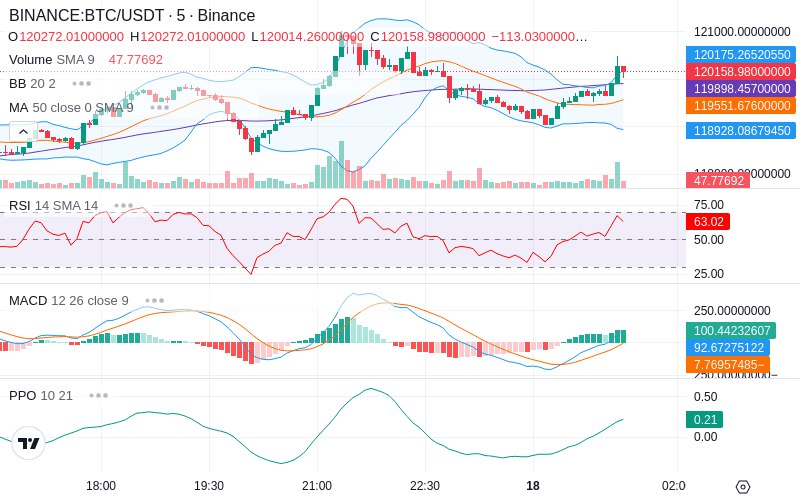 🚀 $TOMI SuperApp early access!