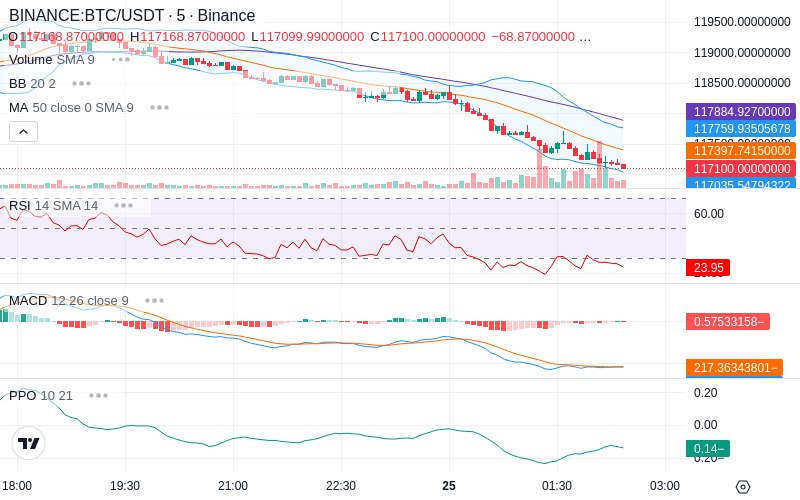 Leverage Your Profits🚀