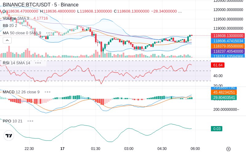 🚀 $TOMI SuperApp early access!