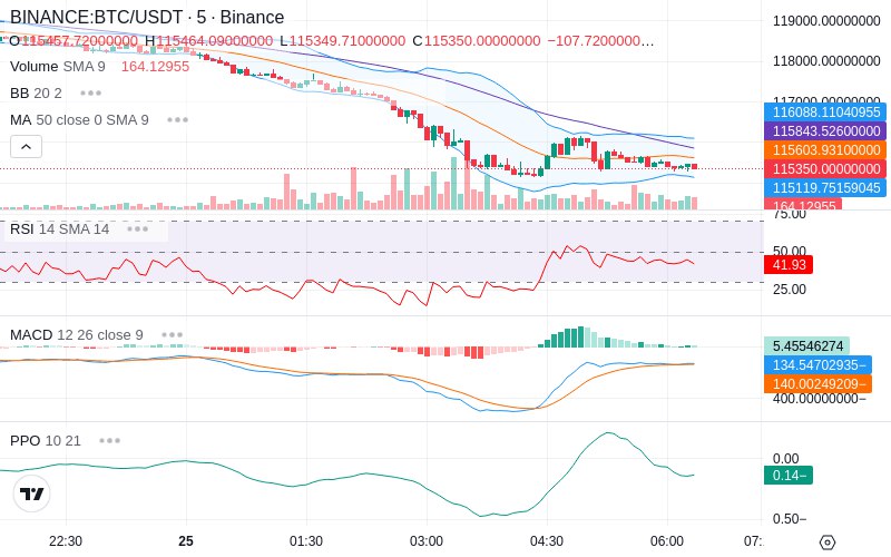 Rent this Ad Spot✨