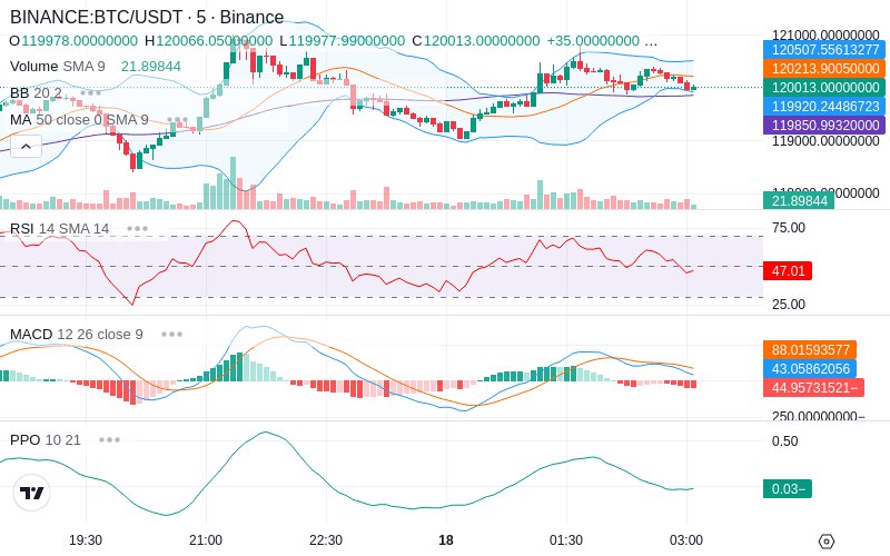 🚀 $TOMI SuperApp early access!