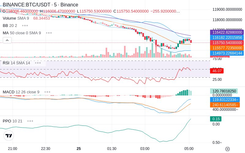 Rent this Ad Spot✨