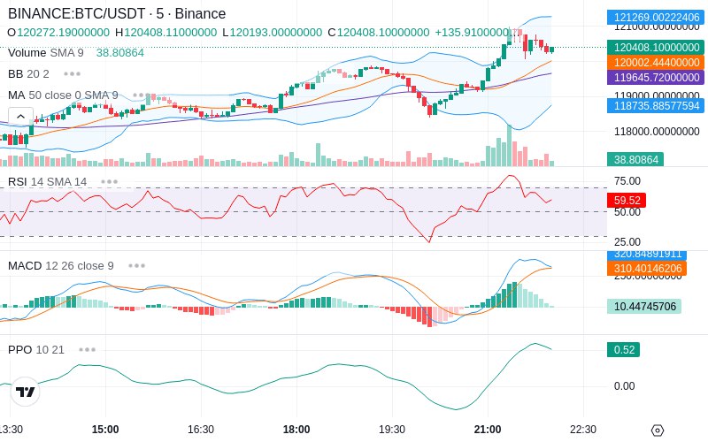 🚀 $TOMI SuperApp early access!