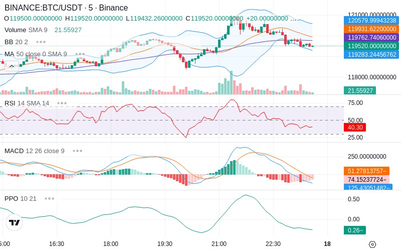 🚀 $TOMI SuperApp early access!