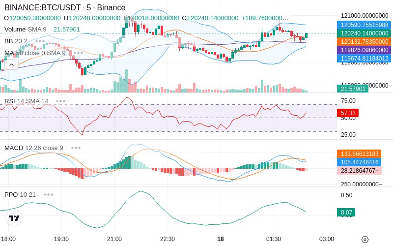 🚀 $TOMI SuperApp early access!