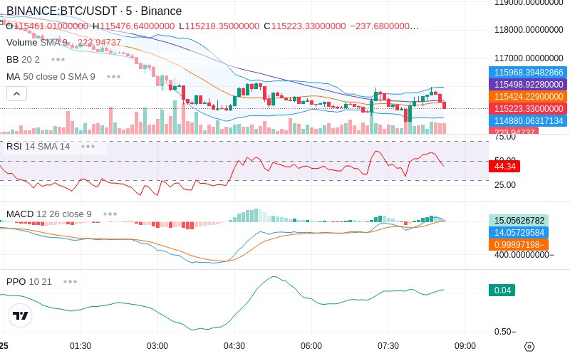 Rent this Ad Spot✨