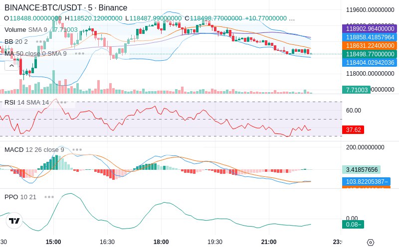 Rent this Ad Spot✨