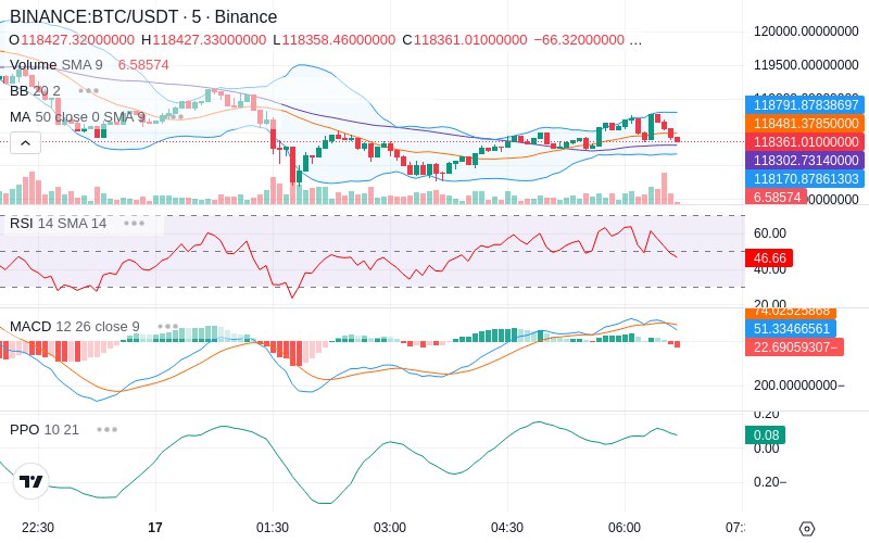 🚀 $TOMI SuperApp early access!