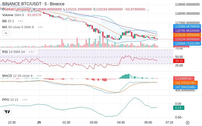 Rent this Ad Spot✨