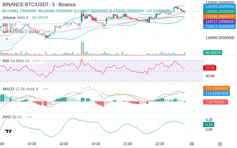 🚀 $TOMI SuperApp early access!
