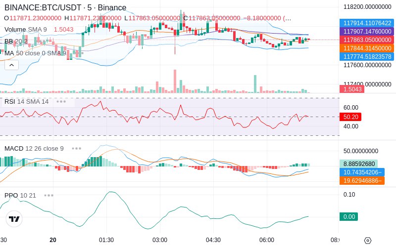 🚀 $TOMI SuperApp early access!