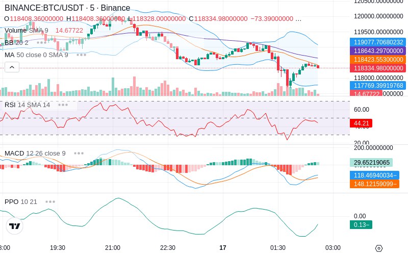 🚀 $TOMI SuperApp early access!