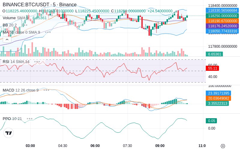 🚀 $TOMI SuperApp early access!