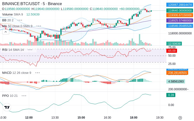 🚀 $TOMI SuperApp early access!