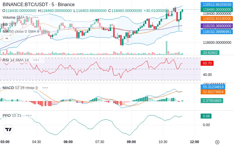 🚀 $TOMI SuperApp early access!