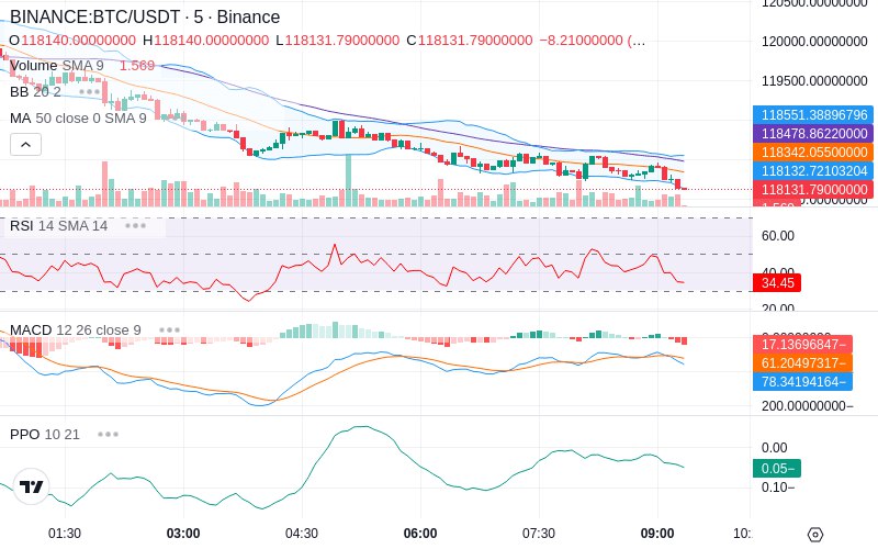 🚀 $TOMI SuperApp early access!