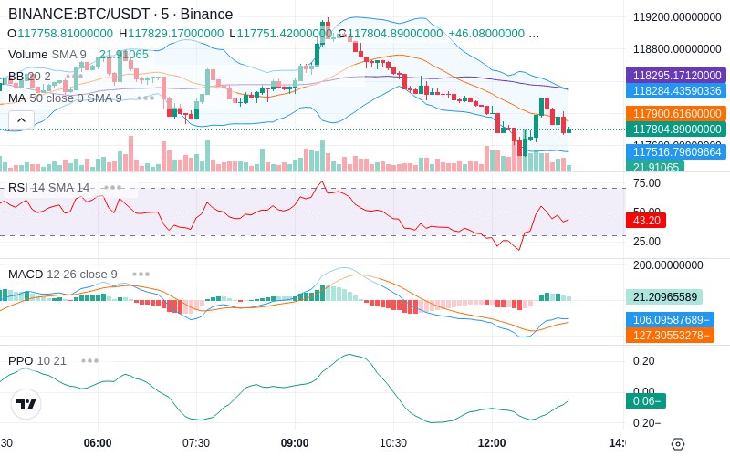 🚀 $TOMI SuperApp early access!