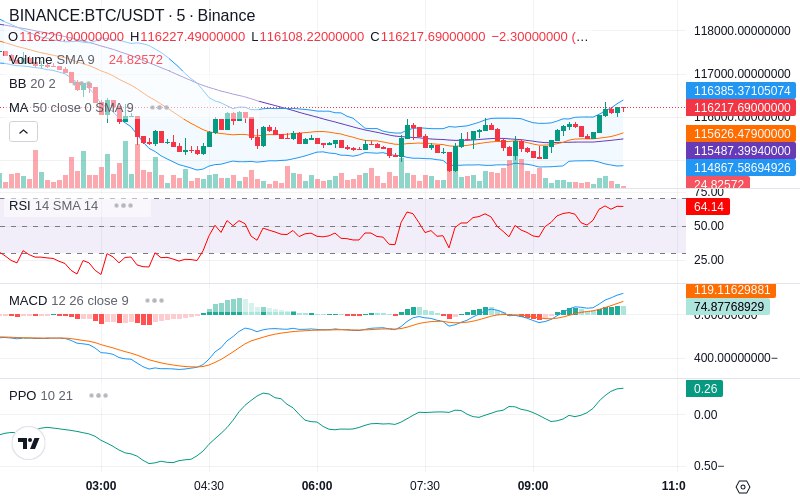 Leverage Your Profits🚀